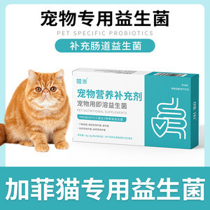 【宠物猫加菲猫价格】最新宠物猫加菲猫